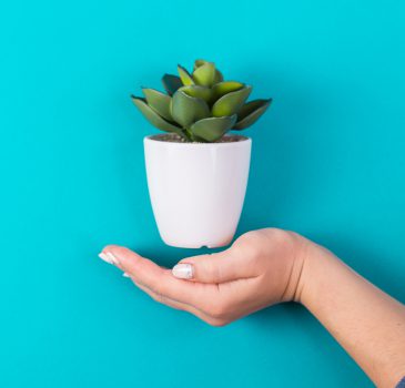 idea of a hand and an artificial plant. minimalism