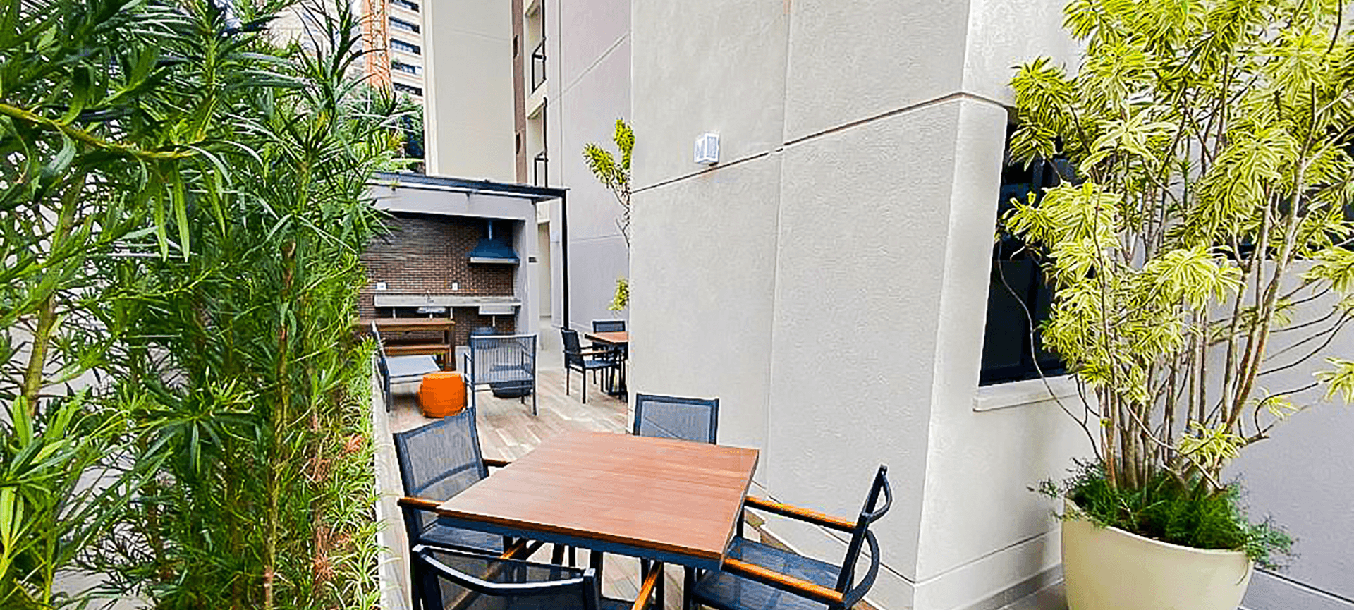 Imagem dos cards do carrossel