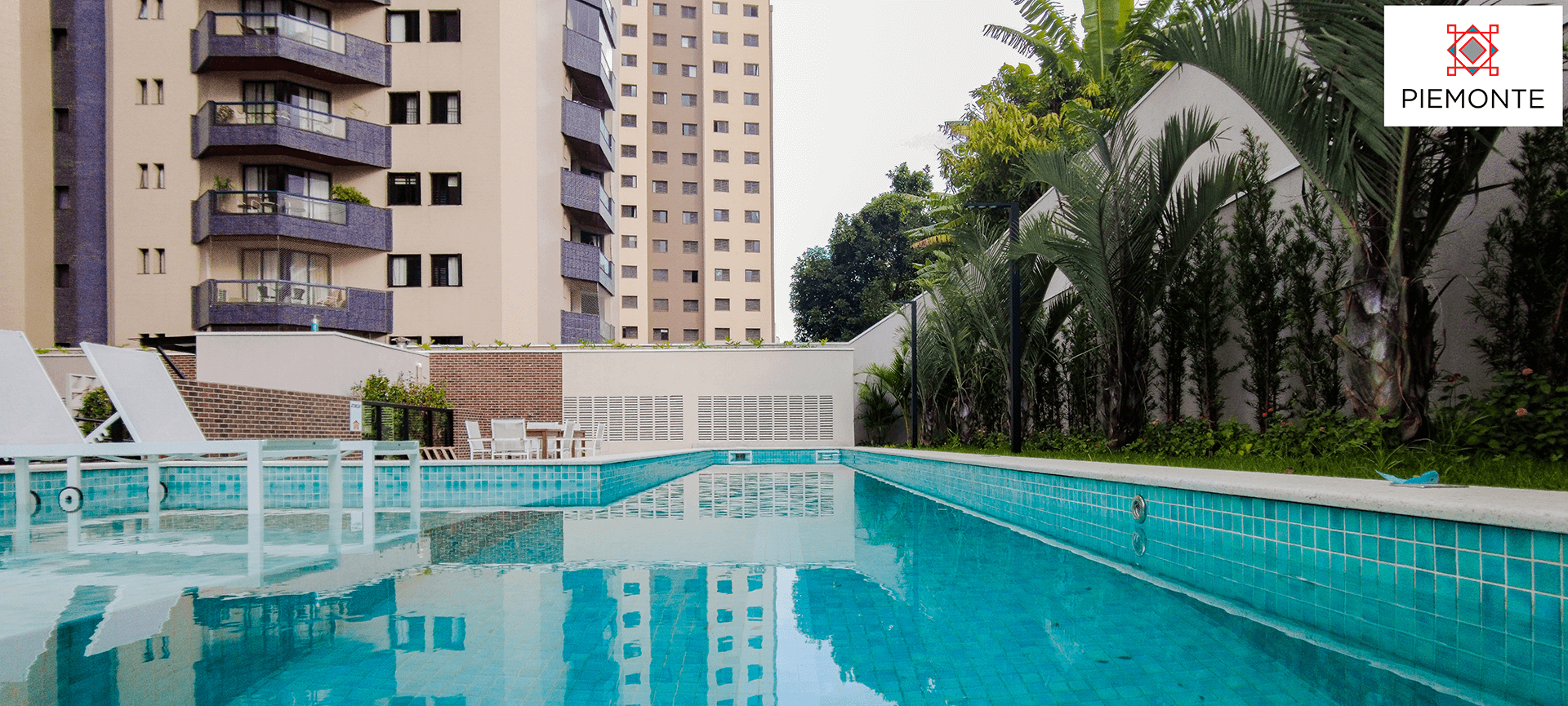 Imagem dos cards do carrossel