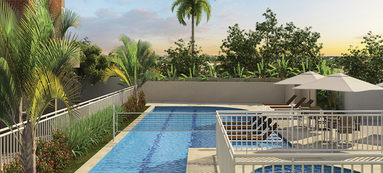 Imagem dos cards do carrossel