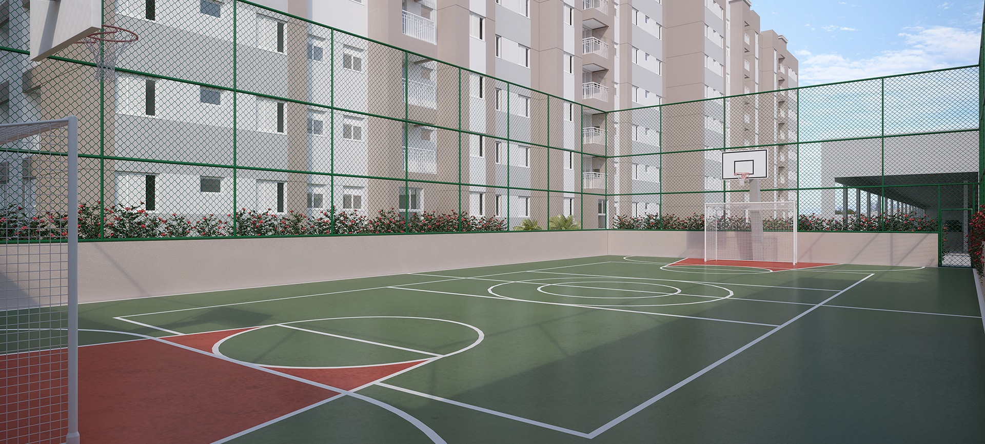 Imagem dos cards do carrossel