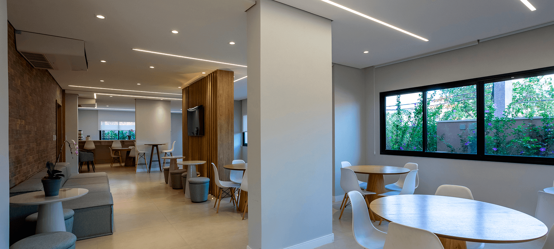 Imagem dos cards do carrossel