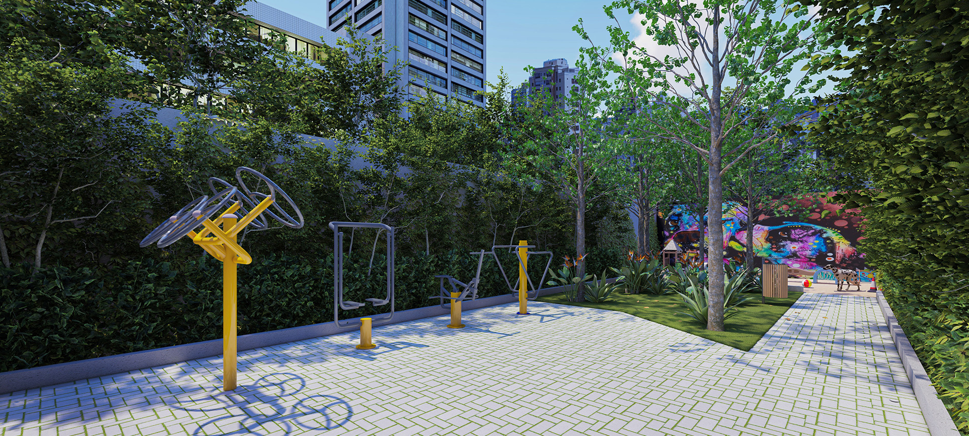 Imagem dos cards do carrossel