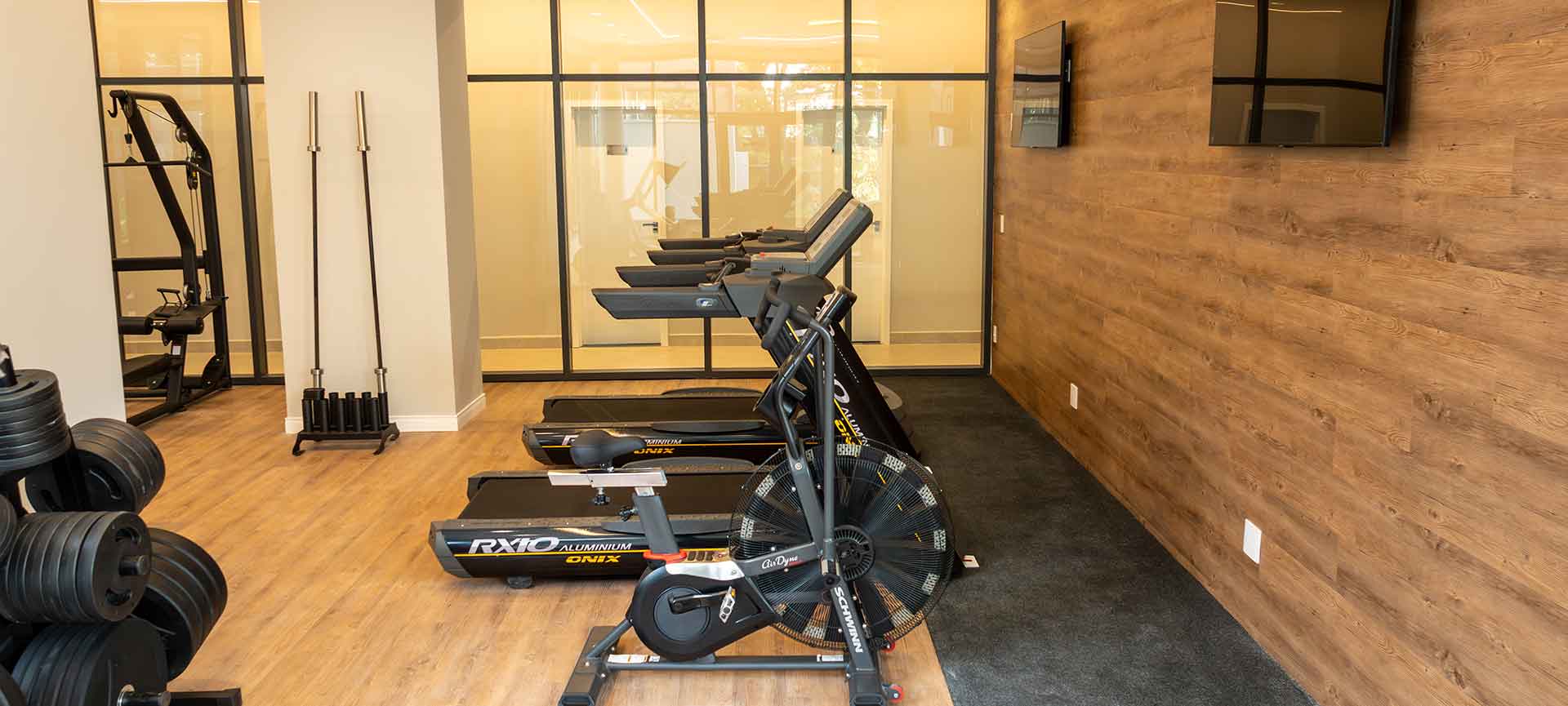 Academia com equipamentos profissionais