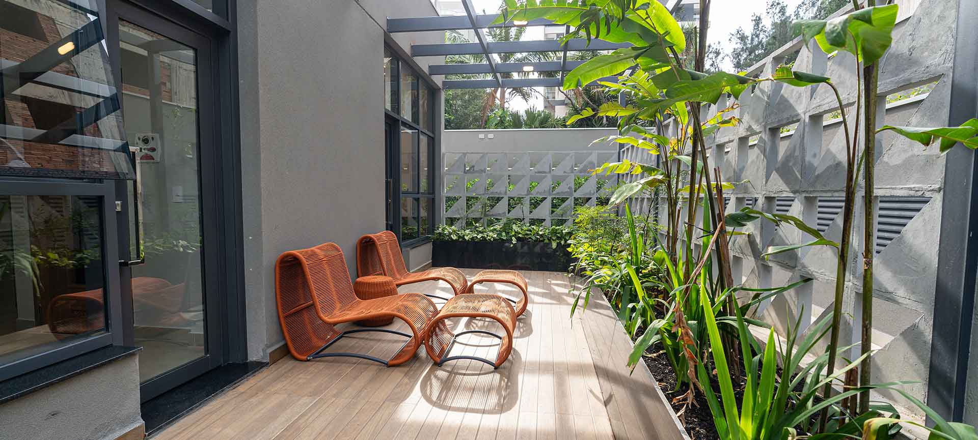 Imagem dos cards do carrossel