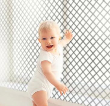 Tela de proteção para janelas: cuidado com animais, crianças e adultos