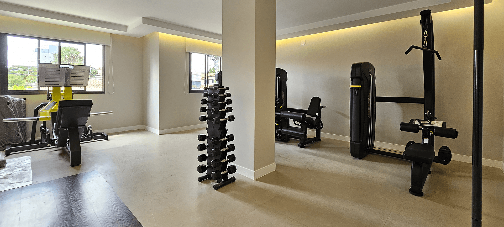 Imagem dos cards do carrossel