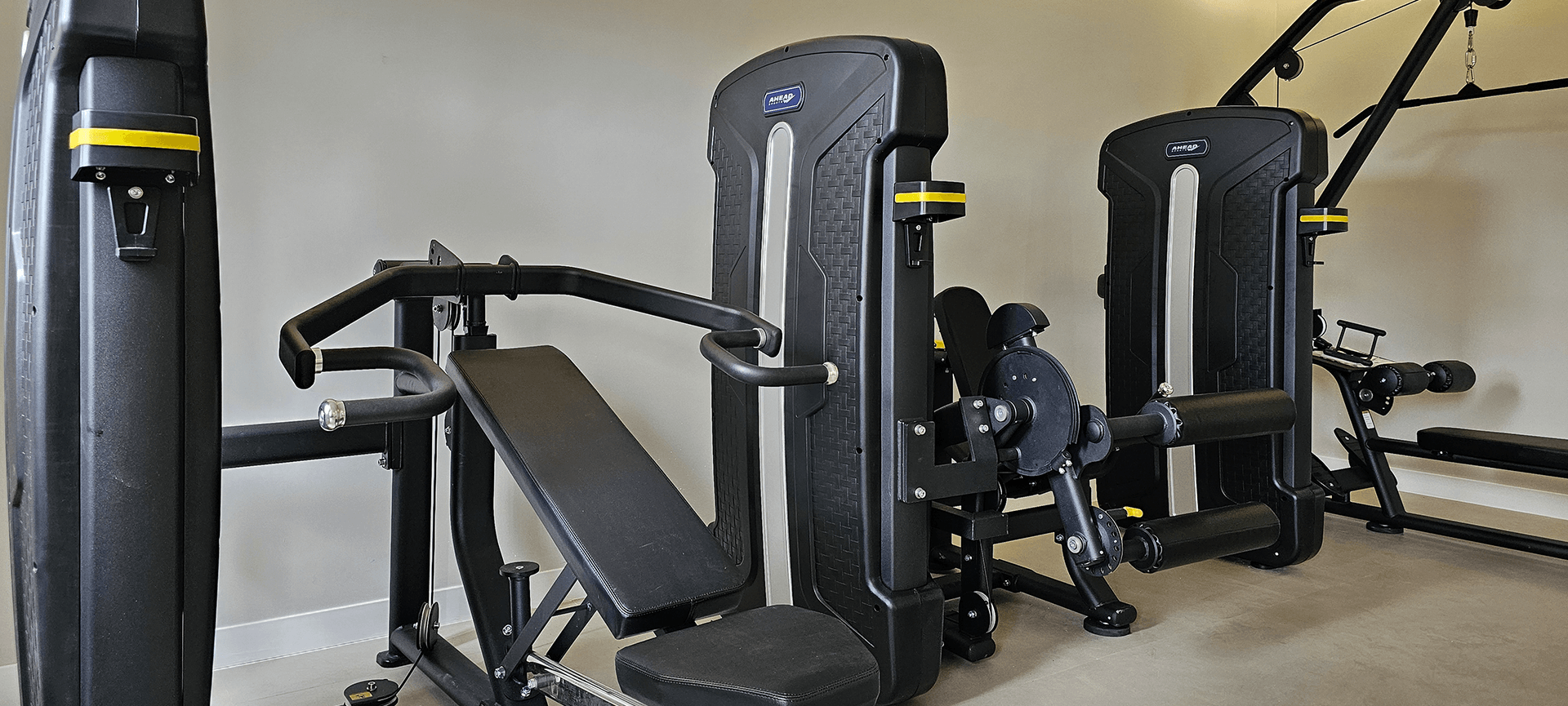 Imagem dos cards do carrossel