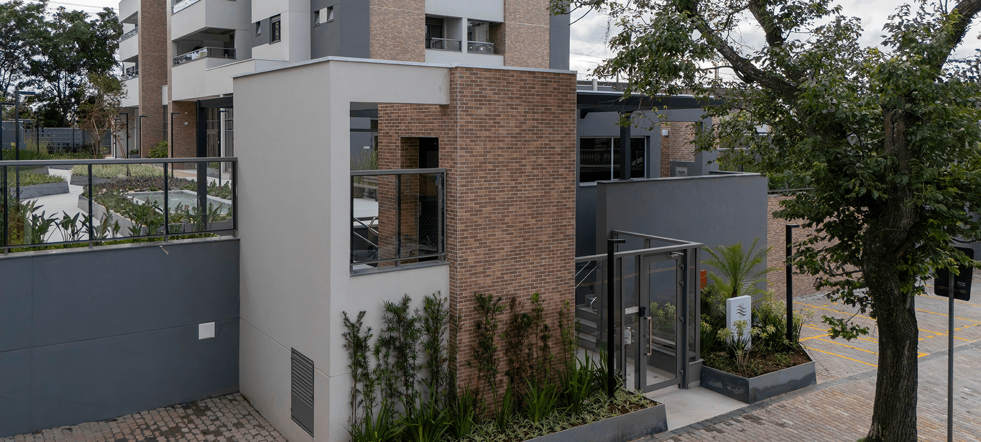 Imagem dos cards do carrossel