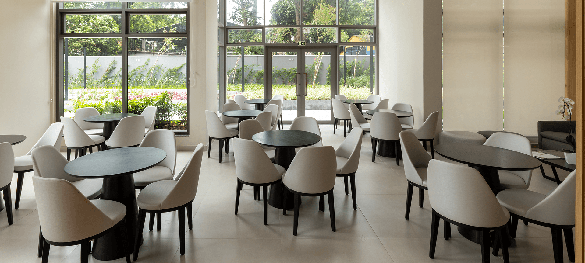 Imagem dos cards do carrossel