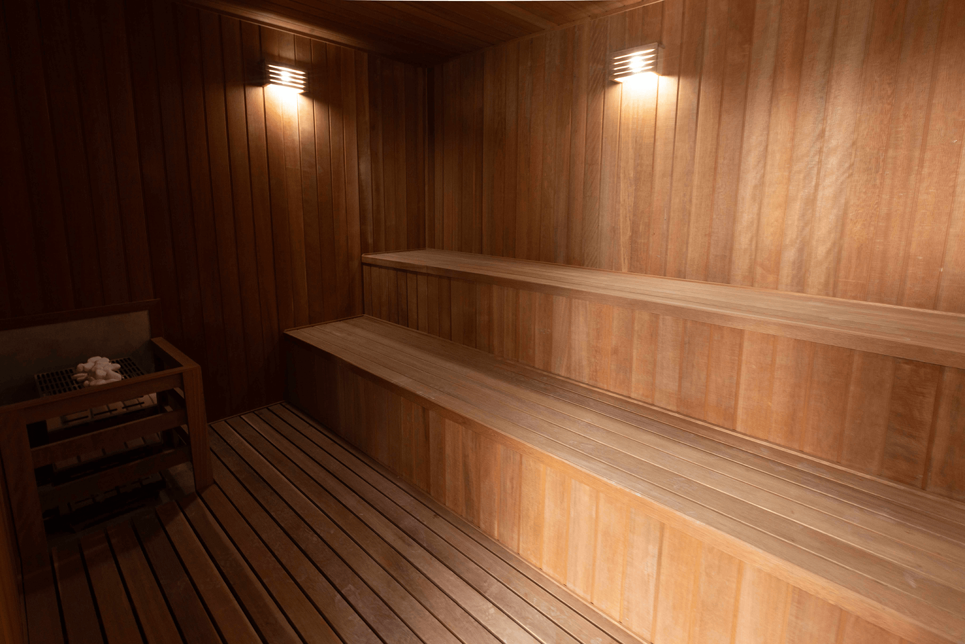 Imagem dos cards do carrossel