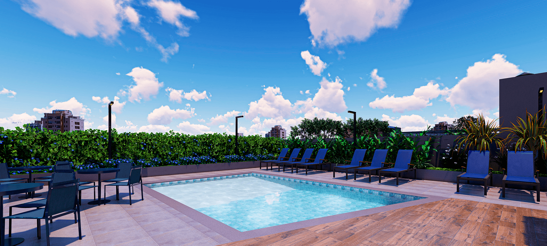 Imagem dos cards do carrossel