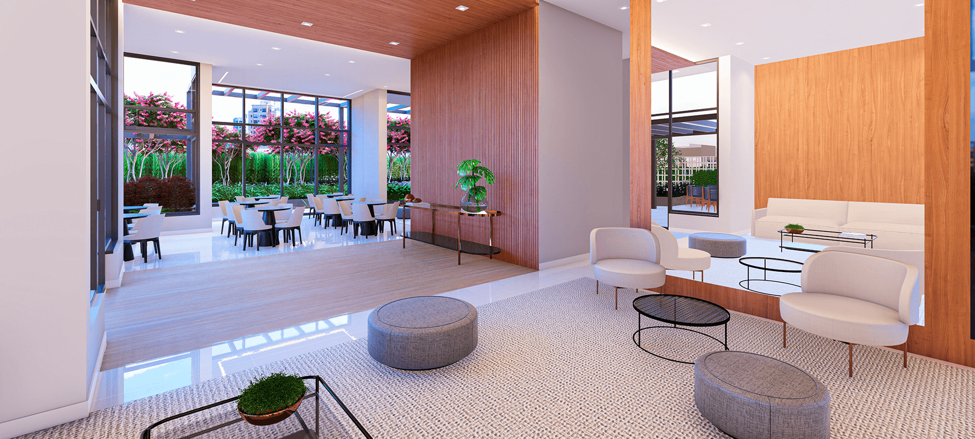 Imagem dos cards do carrossel