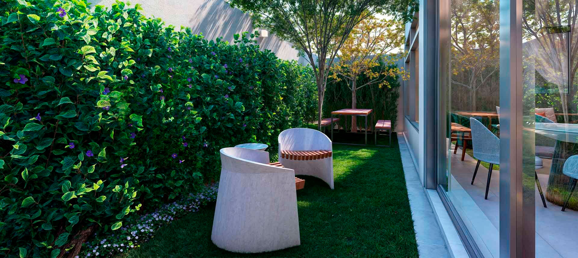 Imagem dos cards do carrossel