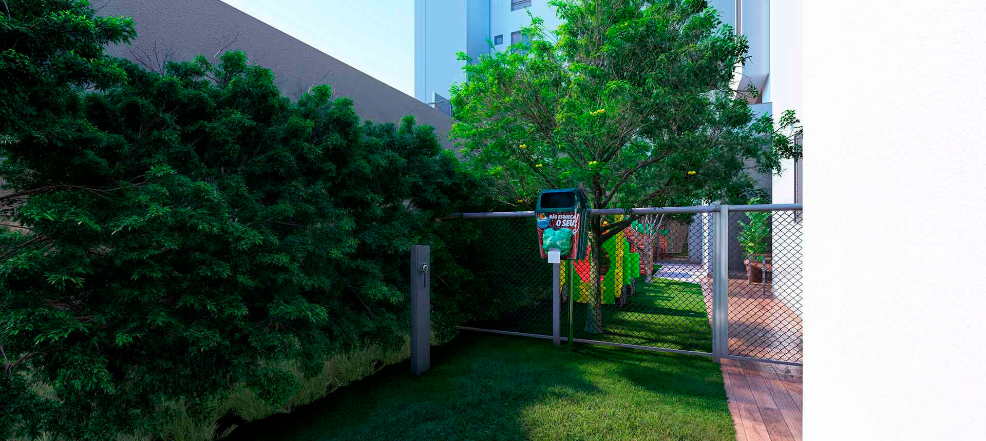 Imagem dos cards do carrossel