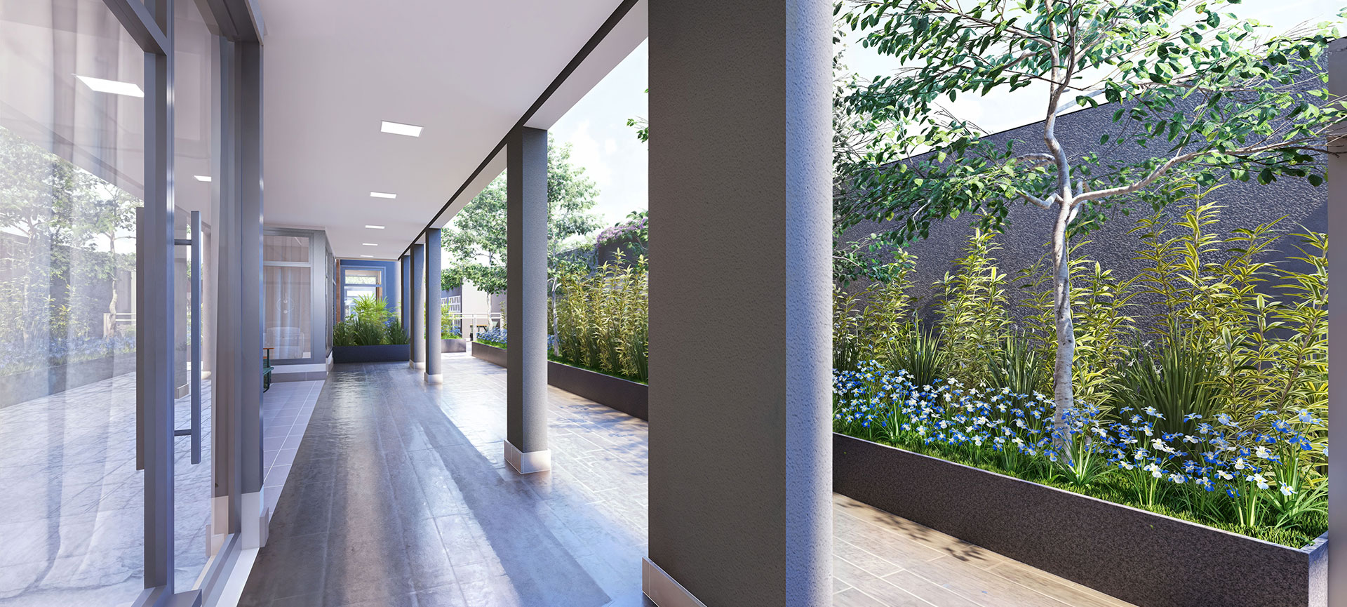 Imagem dos cards do carrossel