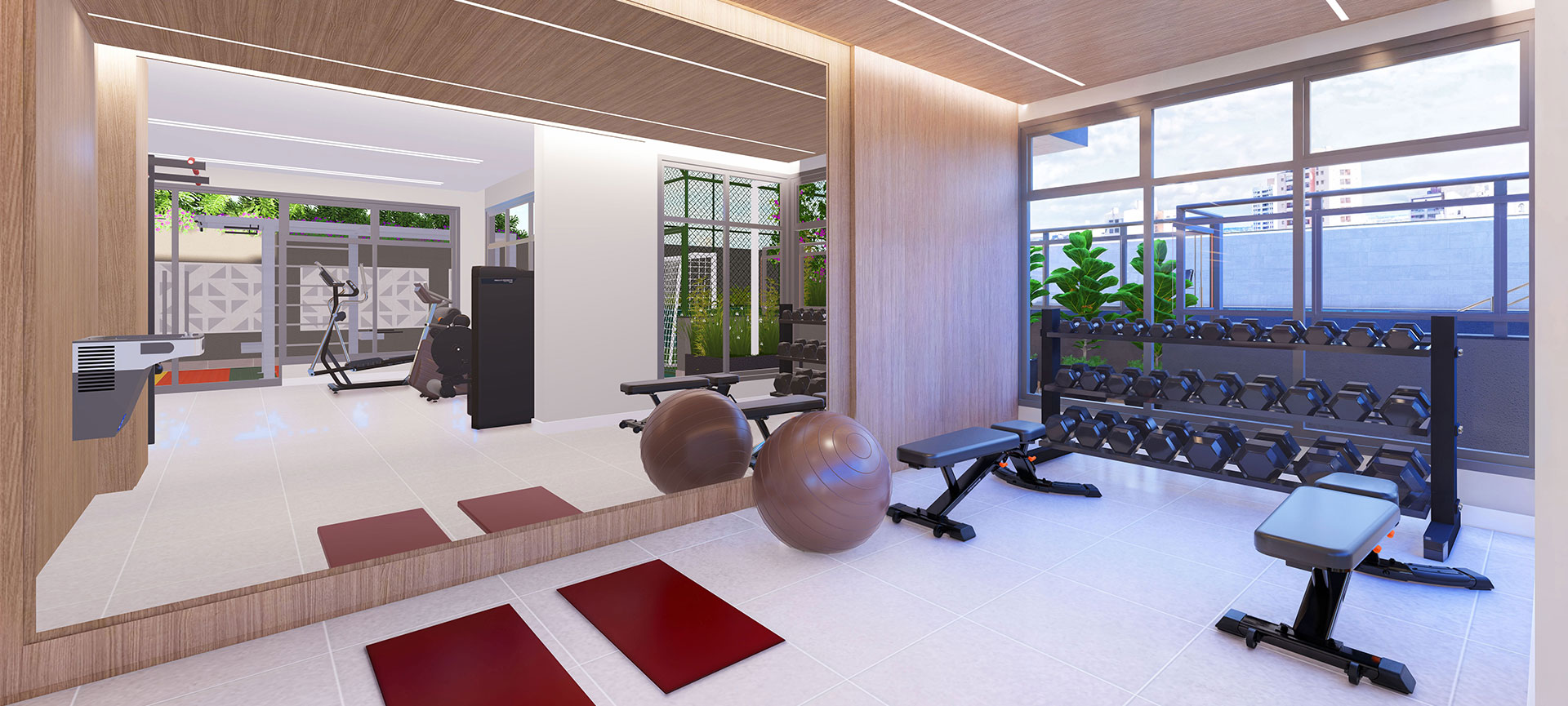 Imagem dos cards do carrossel